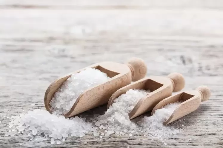 jūros druska ir dieta be druskos svorio metimui